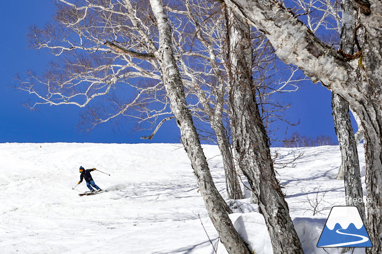 ニセコグラン・ヒラフ DYNASTAR SKI TEST RIDE DAYS Photo Session!!最高の天気に恵まれたニセコに、最高の仲間たちが集まりました☆